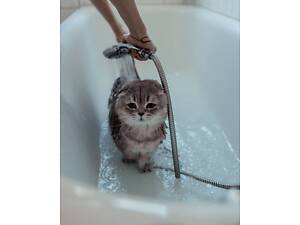 Купання для всіх видів тварин,грумінг тхорики, єнотики, міні піг, їжачок та інші