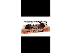 Купити ягідний Гофролоток 573х370х95мм