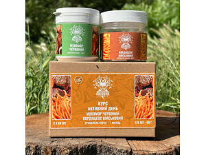 Курс Активный день Кордицепс и Мухомор красный (1 месяц)