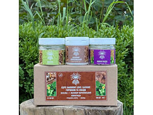 Курс Harmony Love Баланс гормонов и либидо (1 месяц)