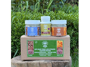 Курс Heart Power Для сердечно-сосудистой системы (1 месяц)