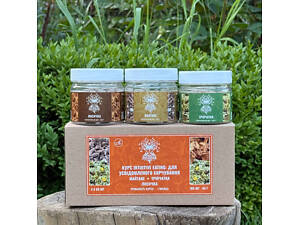 Курс Intuitive Eating Для осознанного питания (1 месяц)