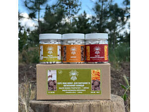 Курс Mind Boost v2 Для обучения и когнитивных функций (2 месяца)