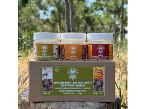 Курс Mind Boost v2 Для обучения и когнитивных функций (1 месяц)