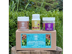 Курс Zen Mood Для борьбы с тревожностью, апатией и депрессией (1 месяц)