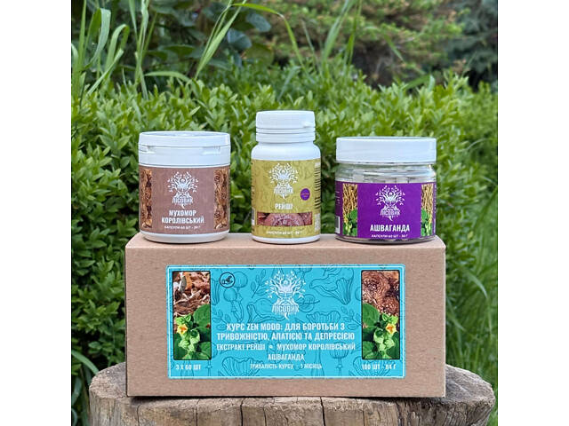 Курс Zen Mood Для борьбы с тревожностью, апатией и депрессией (1 месяц) - Фото 1