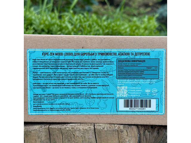 Курс Zen Mood Для борьбы с тревожностью, апатией и депрессией (1 месяц) - Фото 3