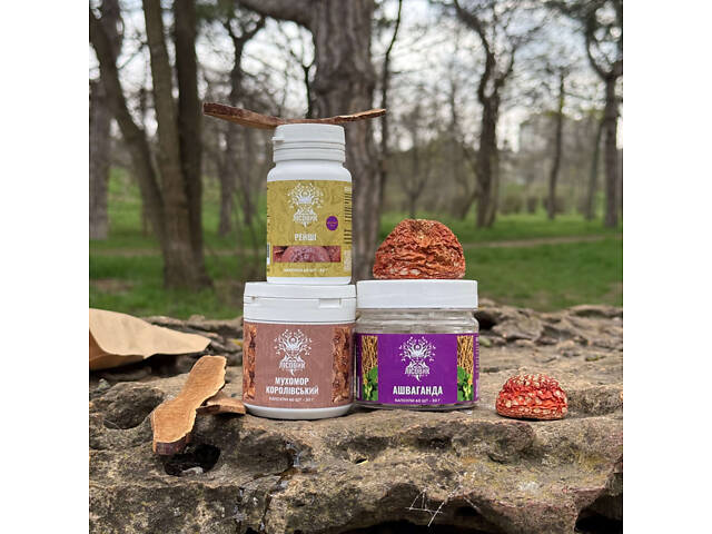 Курс Zen Mood Для борьбы с тревожностью, апатией и депрессией (1 месяц) - Фото 4