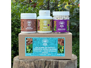 Курс Zen Mood Для борьбы с тревожностью, апатией и депрессией (2 месяца)