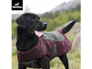 Куртка для собак BlackDoggy (БлекДогги) VC14-JK023 L, Бордовый