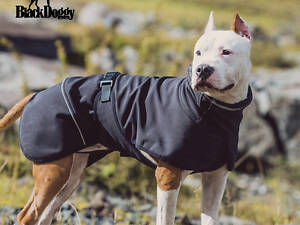 Куртка для собак BlackDoggy (БлекДогги) VC19-JK008 XL, Чорний