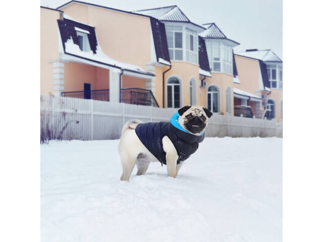 Курточка для тварин Airy Vest двостороння M 47 чорно-блакитна (1893) - Фото 2