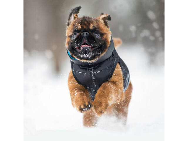 Курточка для тварин Airy Vest двостороння M 47 чорно-блакитна (1893) - Фото 4