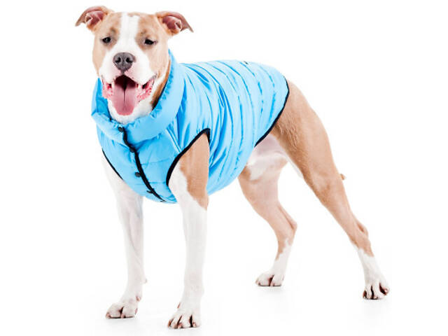 Курточка для тварин Airy Vest One M 40 блакитна (20672) - Фото 4