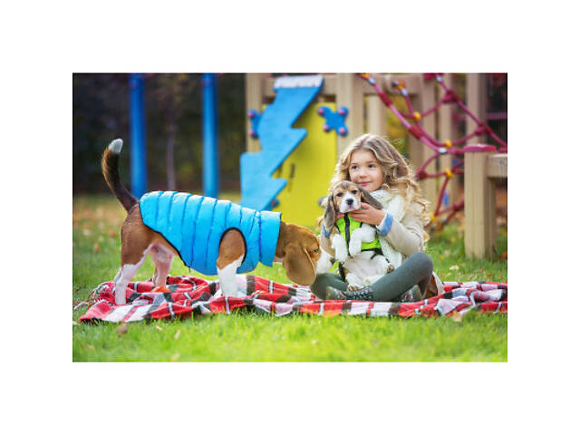 Курточка для тварин Collar AiryVest 'Colors of freedom' XS 25 (4440-4020) - Фото 6