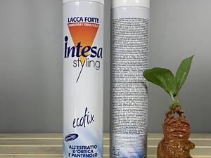 Лак для волос Intesa Ecofix Styling - 500 мл.