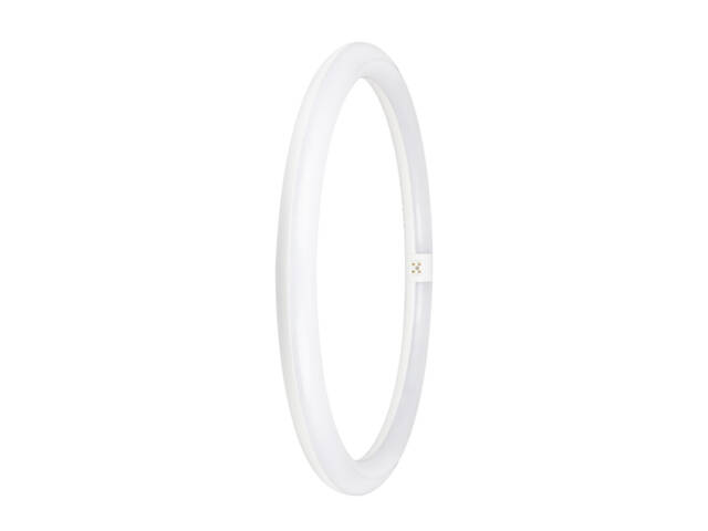 Лампа LED 24W 220V 2900lm 4000K G10q 400х400mm кольцо [4099854042560] LEDVANCE LED TUBE T9 EM V - Фото 2