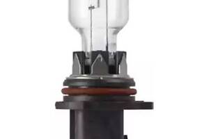 Лампа накаливания на A4, A5, C-Class, E-Class, GL-Class, R-Class, SLK-Class, Seria 4, X5