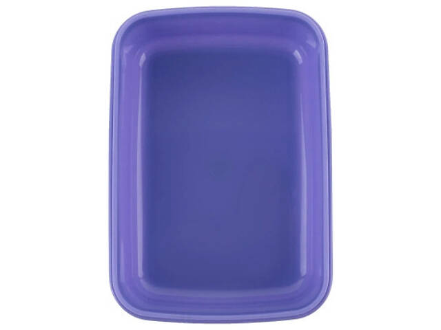 Дитячий ланч-бокс Kite Rachael Hale, 420 мл (R25-160) - Фото 3