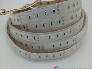 Светодиодная лента SMD2216 Everlight CCT LED Strip, IP65