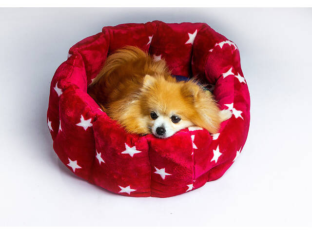 Лежак для собаки красивый красный коричневый серый Красный - Фото 5