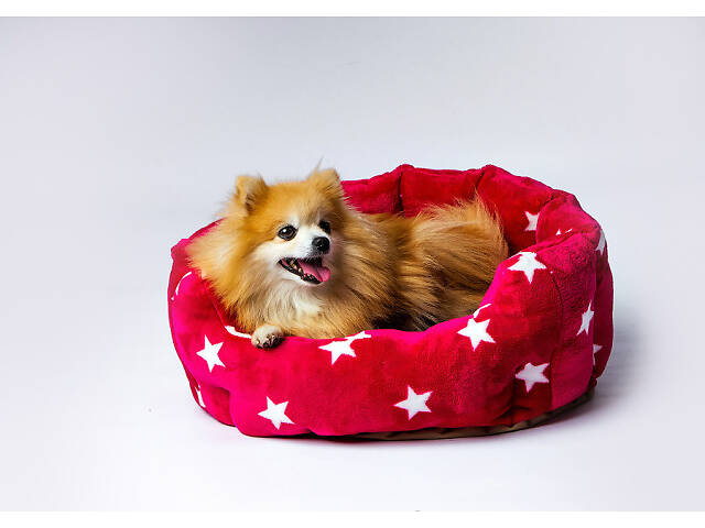 Лежак для собаки красивый красный коричневый серый Красный - Фото 2