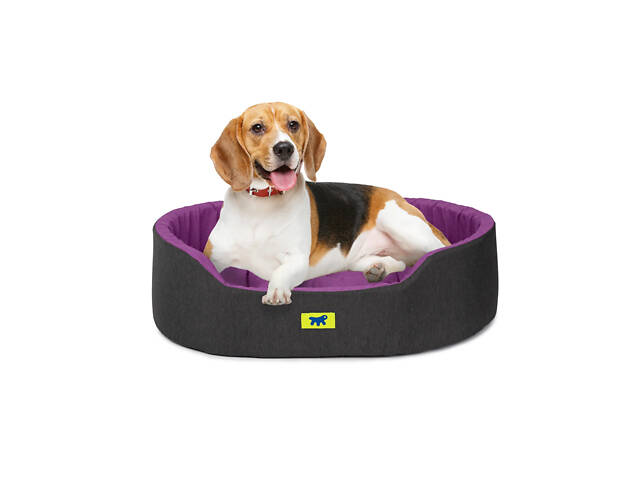Лежак - ліжко для собак і кошек Ferplast Dandy C Colour (Ферпласт Денди С Колор) 80 x 55 x h 20 cm - 80, Фіолетовий - Фото 3