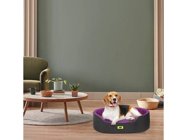Лежак - ліжко для собак і кошек Ferplast Dandy C Colour (Ферпласт Денди С Колор) 80 x 55 x h 20 cm - 80, Фіолетовий - Фото 5