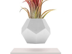 Левитирующий вазон Planter Lyfe Парящий вазон (Белый)