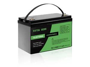 LiFePO4 12V 100Ah Акумулятор Datouboss, BMS, 1280Wh