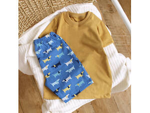 Літній костюм для хлопчика футболка з шортами 36