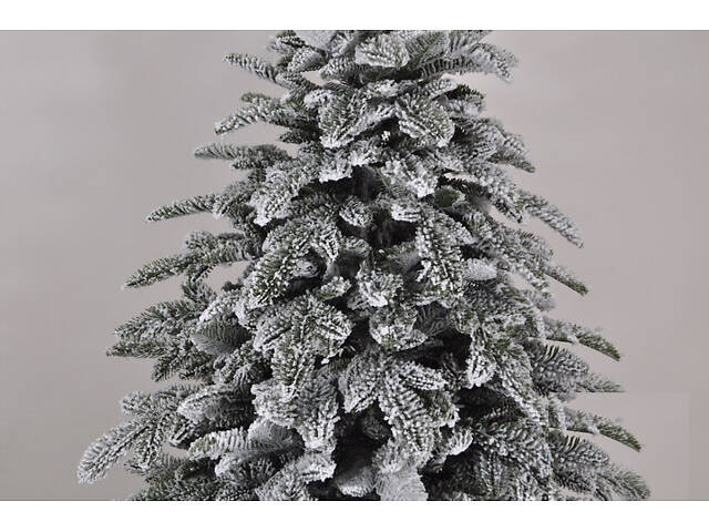 Ли́та яли́нка з густо́ю хвоєю No Brand Бельгі́йська 1.6 м Зеле́ний (2333253753) - Фото 4