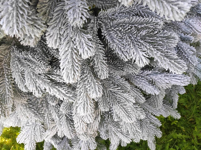 Литая искусственная елка Элитная заснеженная (высота - 3.0 м) - Фото 5