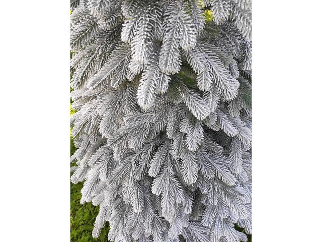 Литая искусственная елка Элитная заснеженная (высота - 3.0 м) - Фото 4