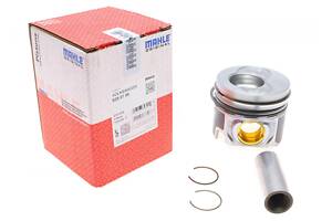 MAHLE 028 07 00 Поршень VW Caddy III/Passat 2.0 TDI 03-09 (81.01mm/STD/cyl.3-4)