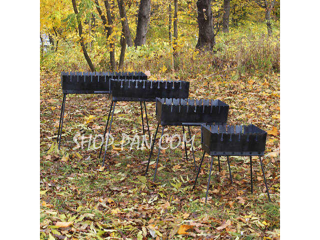 Мангал-валіза 6-12 шампурів для пікніка та дачі - Фото 1