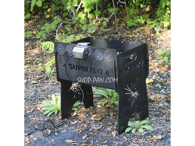 Мангал із вбудованою шашличницею та мотором на 6 шампурів — Птах - Фото 1