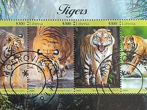 Марки фауна Тигри, 16 блоків