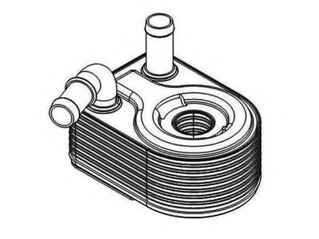 Масляний радіатор NRF 31069 на FORD C-MAX II (DXA/CB7, DXA/CEU) - Фото 1