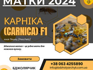 Матки Карника F1 2024