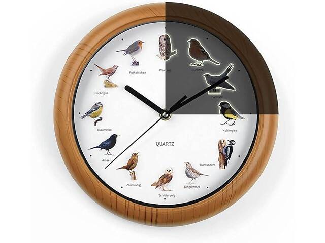MAXXMEE Настенные часы с птичьими голосами  с 12 голосами светятся в темноте 25 см