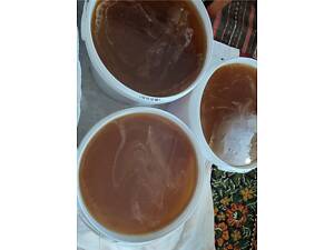 Мед з ароматної липи