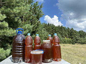 Мед з лісової пасіки