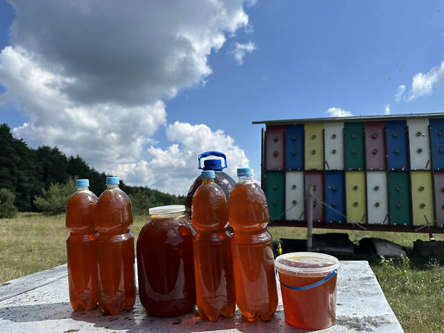 Мед з лісової пасіки - Фото 2