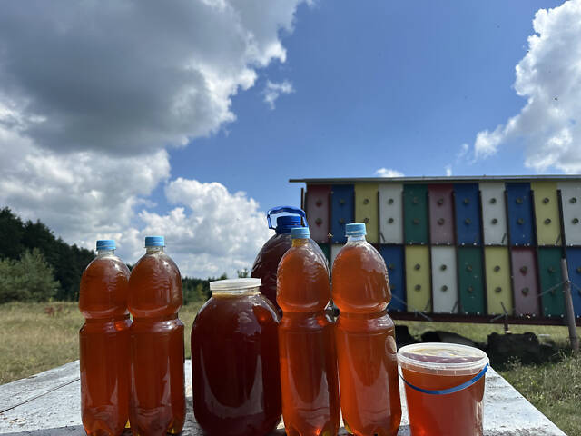 Мед з лісової пасіки - Фото 3