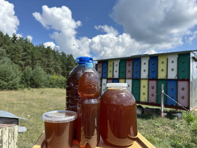 Мед з лісової пасіки - Фото 4