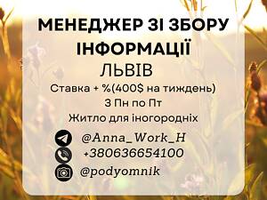 Менеджер зі збору інформації