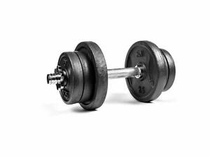 Металева набірна гантель RN-Sport 11 кг (RN_QTR11)