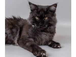 Мейн-кун для в'язки.