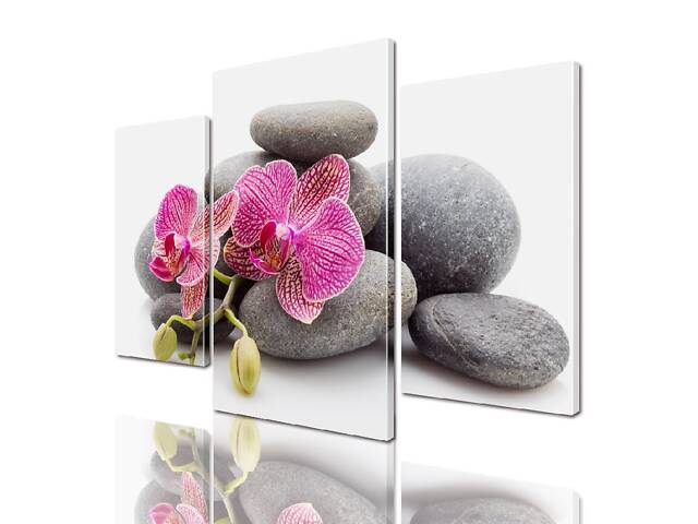 Модульная картина ArtStar цветы Орхидея ADFL0038 размер 120 х 180 см - Фото 1